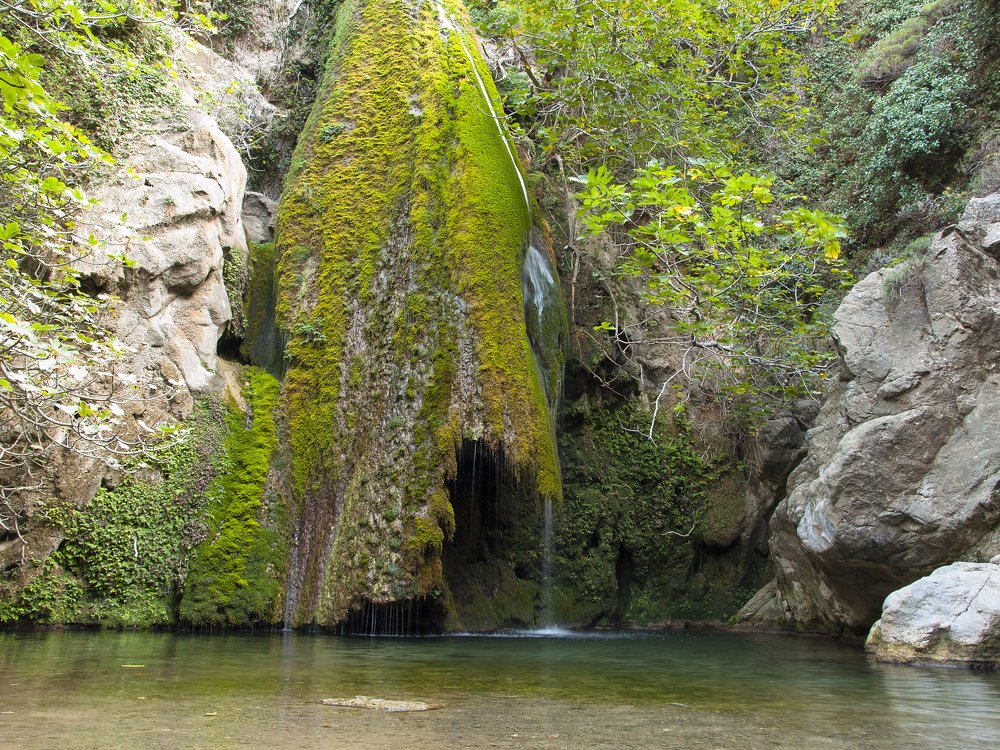 Photograph by Александр