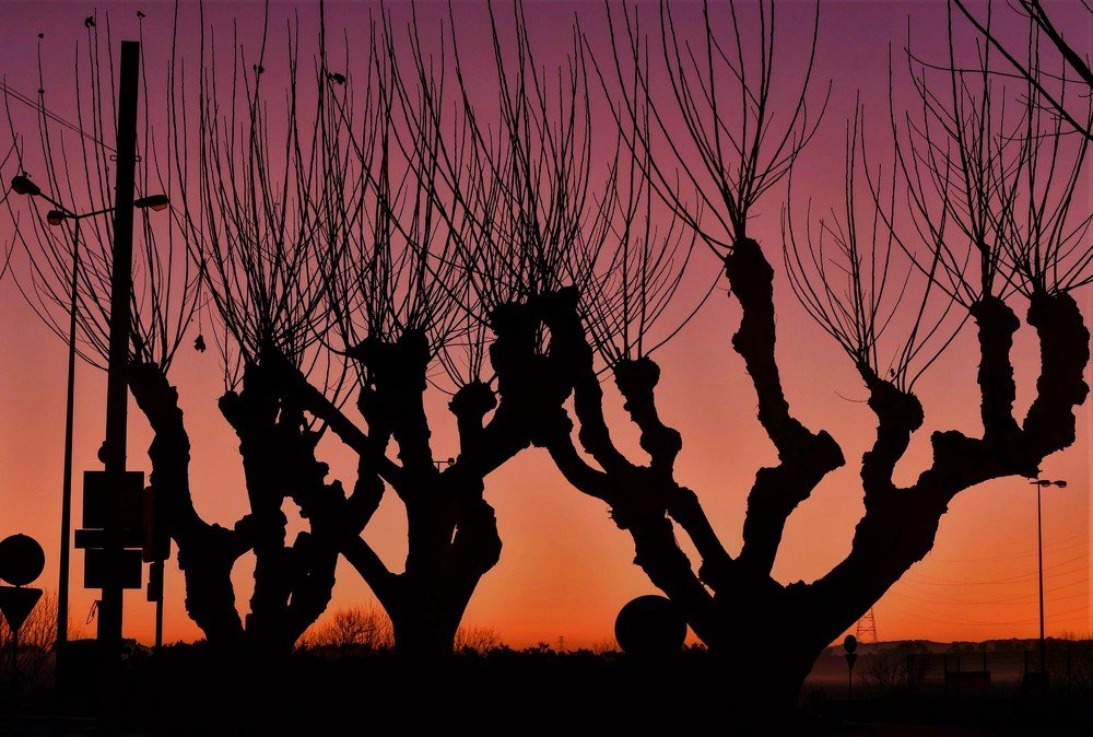 Photograph by Edgar Freire