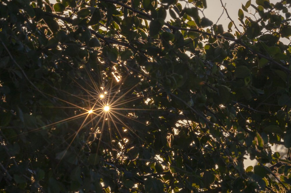 Photograph by Arman Mohammadi