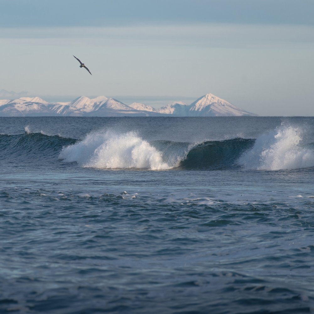 Photograph by Кирилл Сикорский