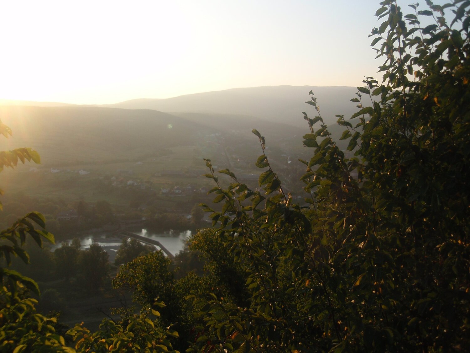 Photo #4426217