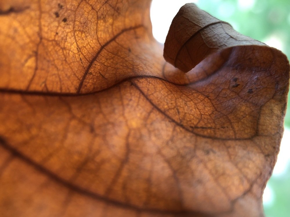 Photograph by Роман