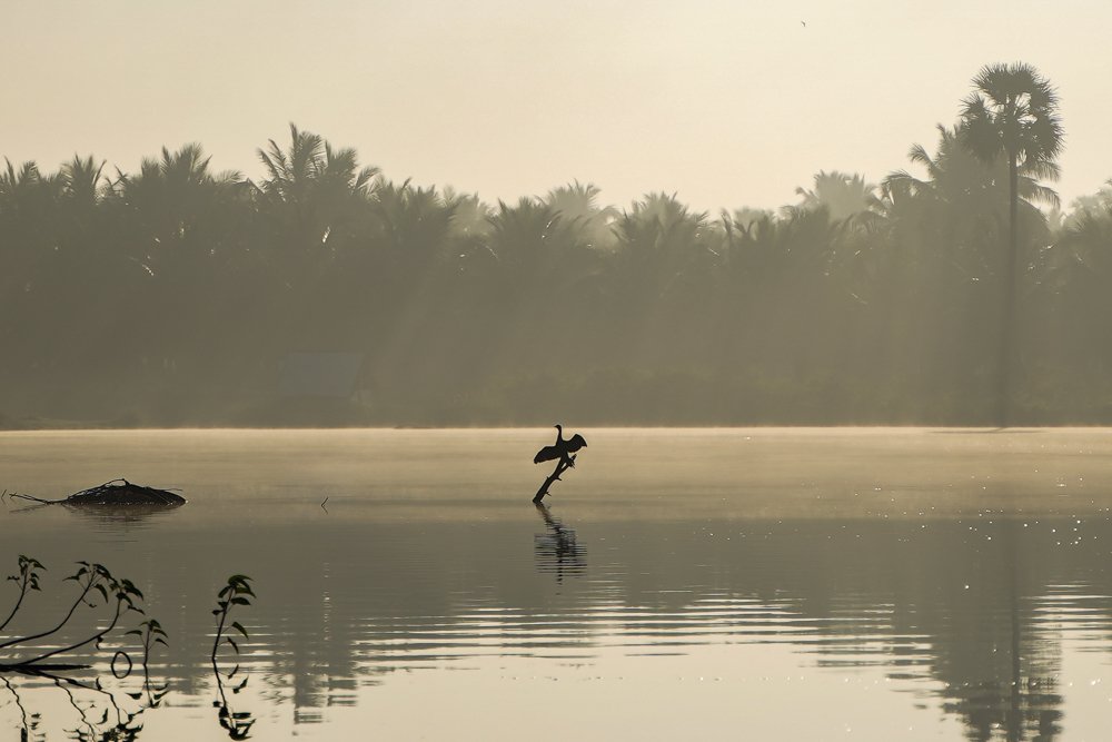 Photograph by Vetrivel