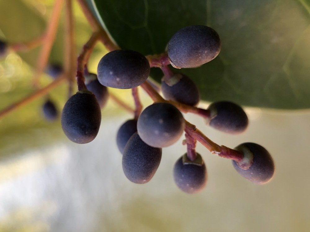 Photograph by Роман