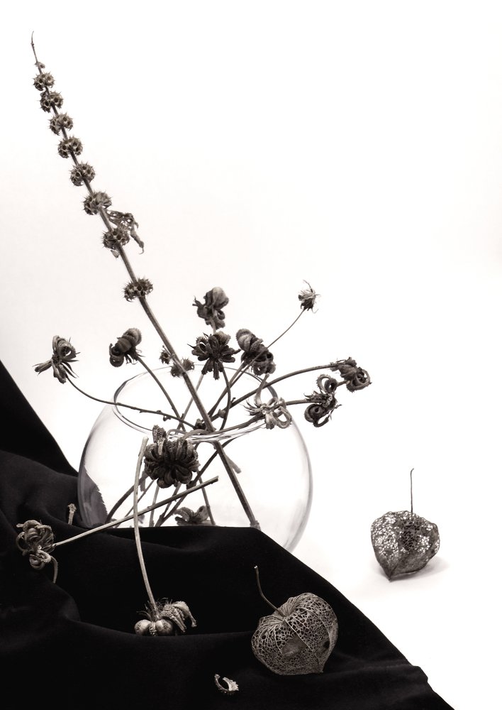 Photograph by Юлия Старкова