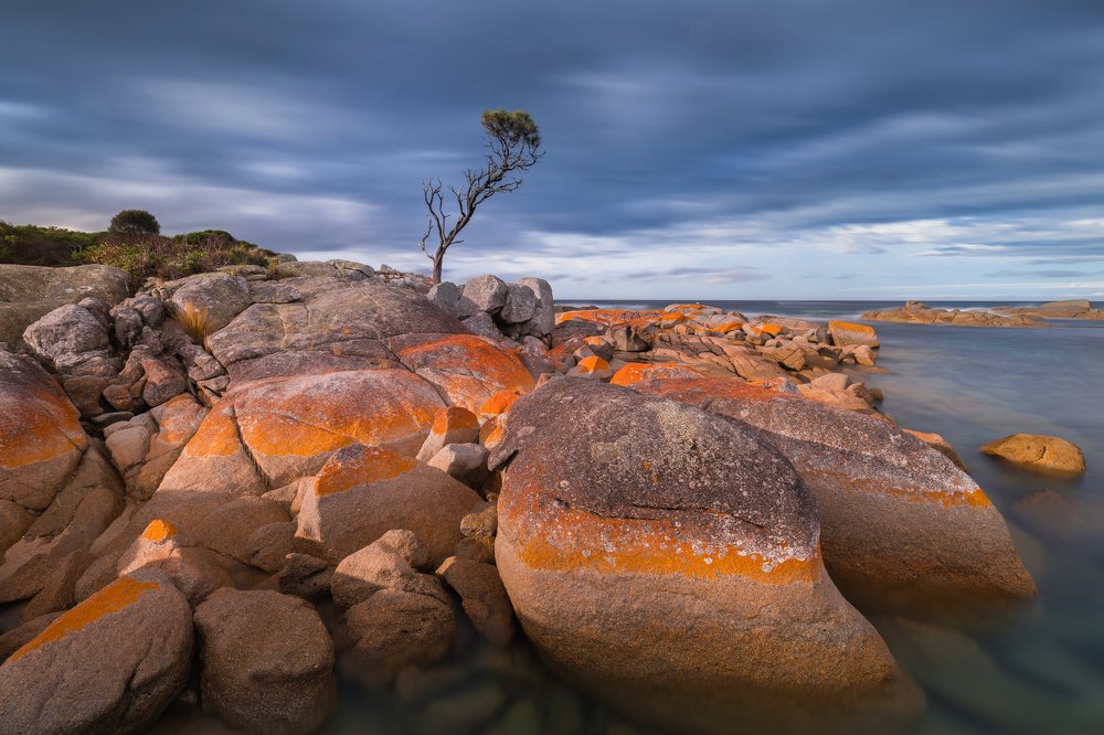 Photograph by Derek Zhang