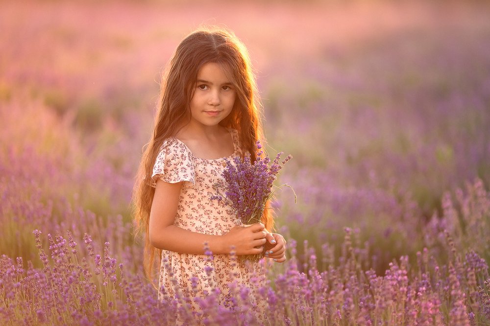 Горная лаванда