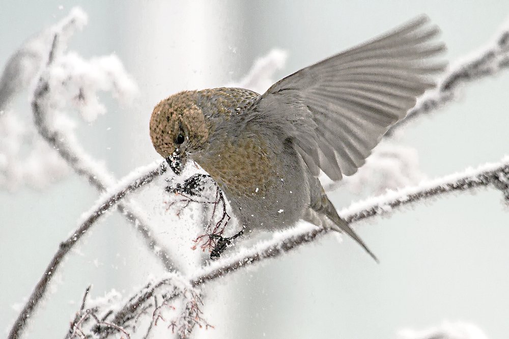 Photograph by Сергей Черных