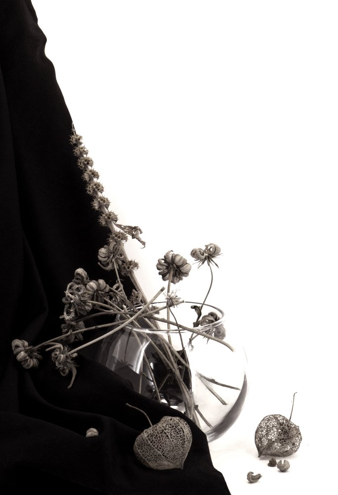 Photograph by Юлия Старкова