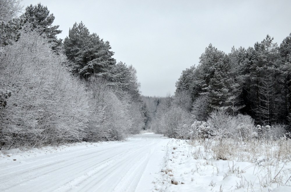 Зимняя дорога
