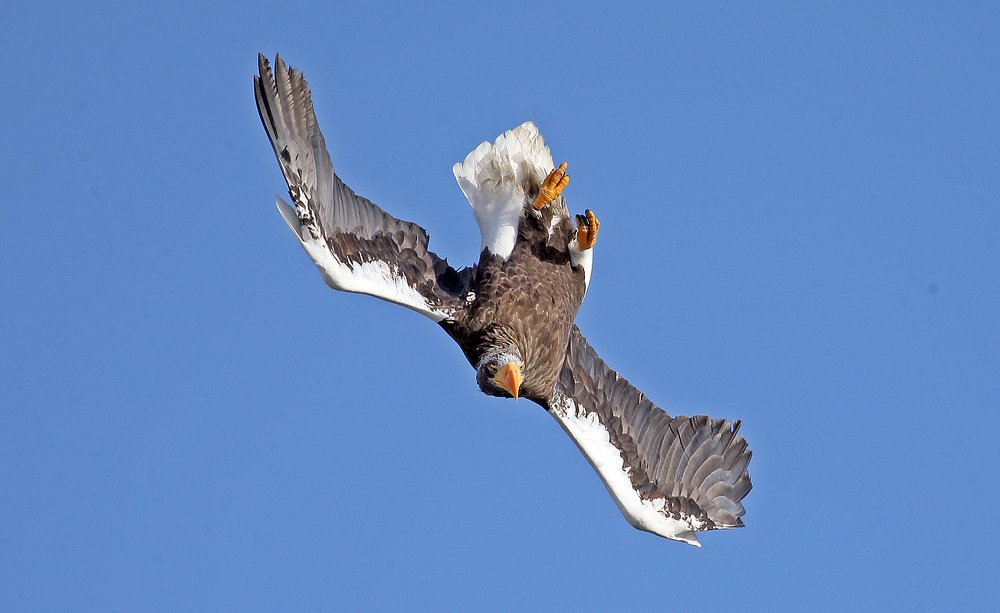 Photograph by Oleg Katugin