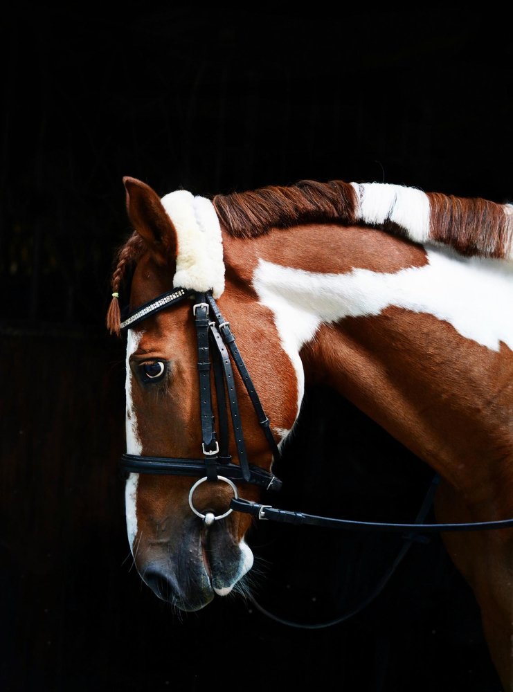 Photograph by Олеся Колитченко