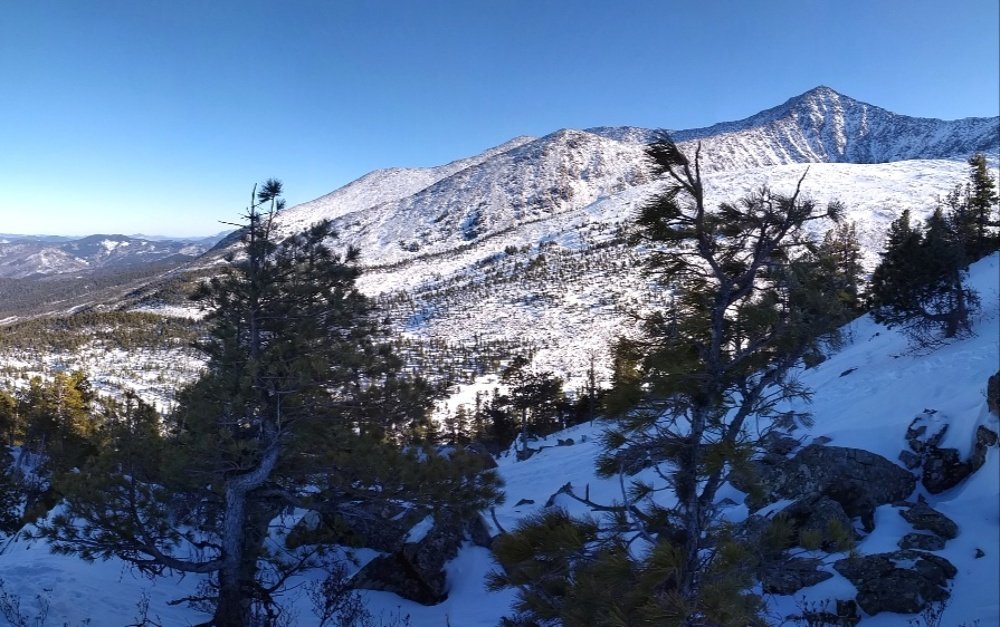 Photo #4426440