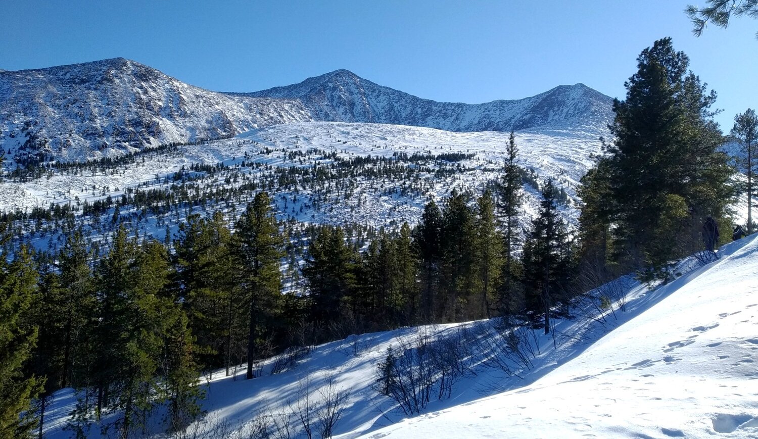 Photo #4426448