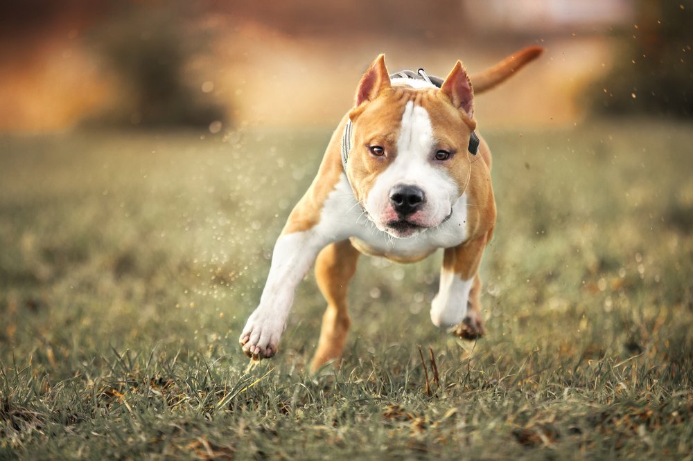 Photograph by Ольга Овчинникова