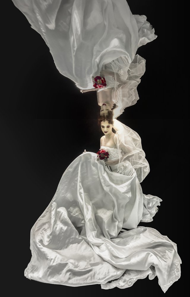 Фотография автора Paula Vianna