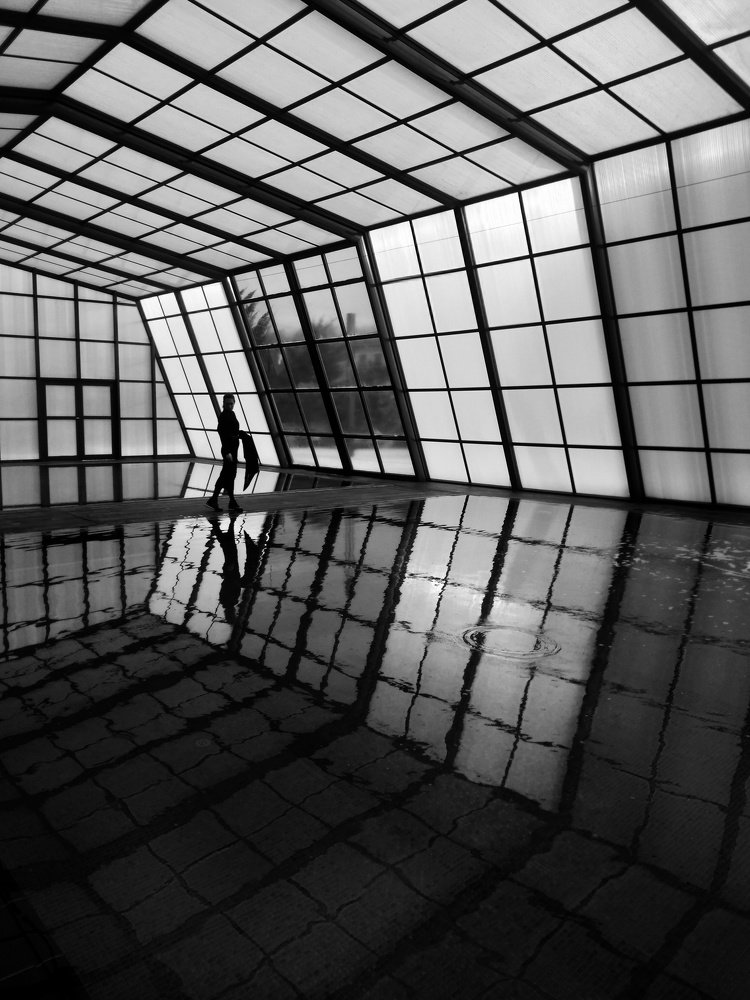 Photograph by Анастасия Озсой