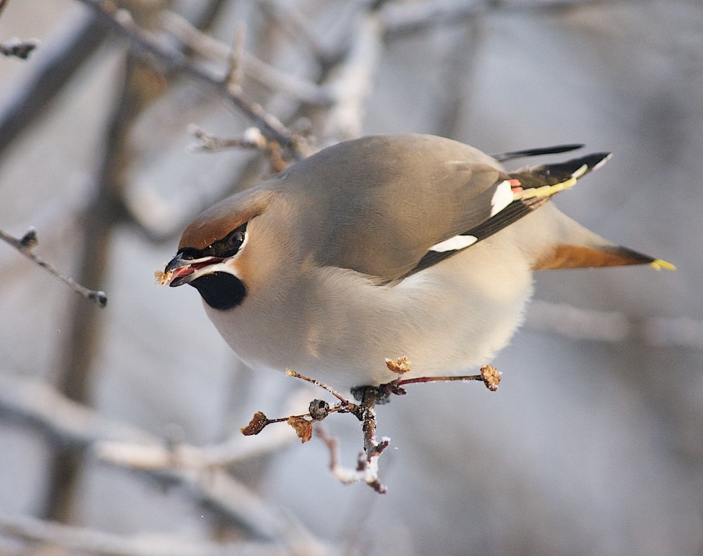 Photograph by @bersenika