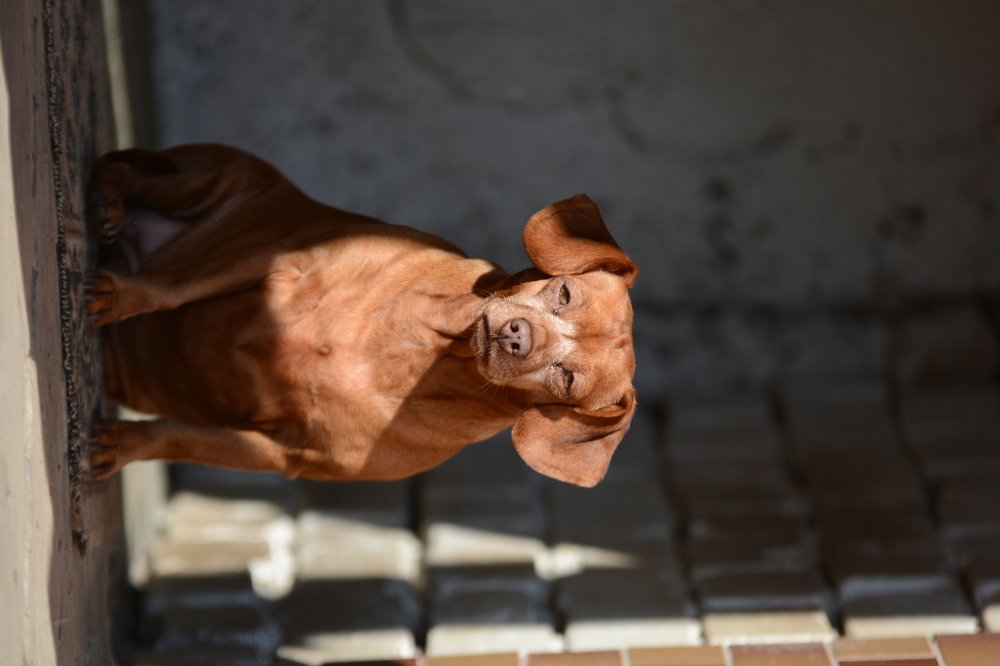 Photograph by Кристина Чижмар