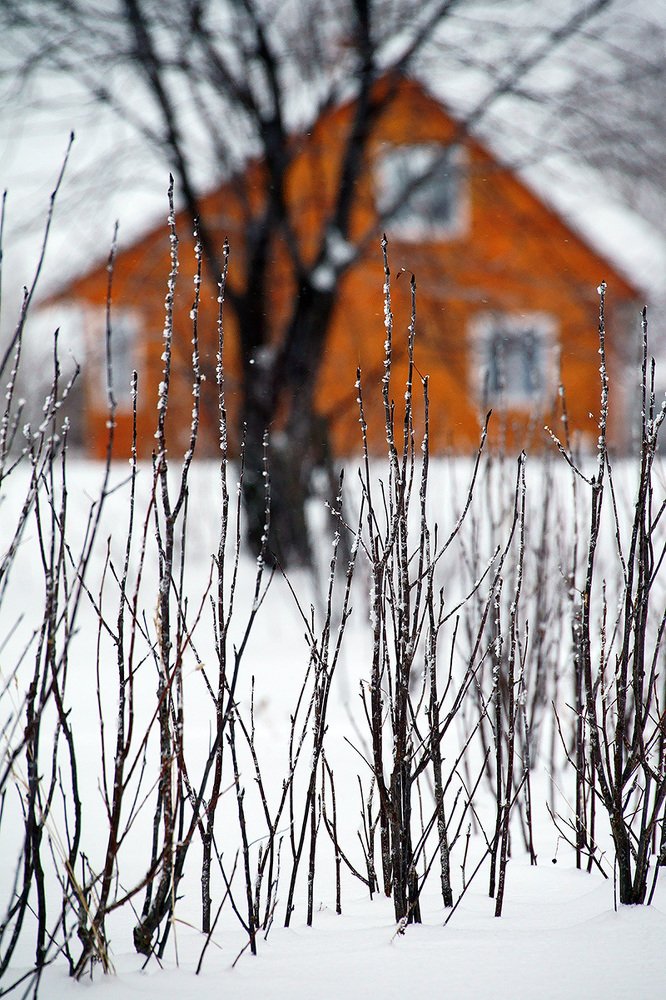 Photograph by Владимир Письмак