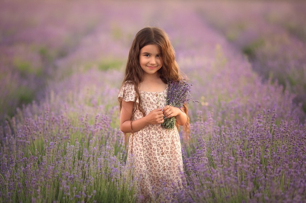 Горная лаванда