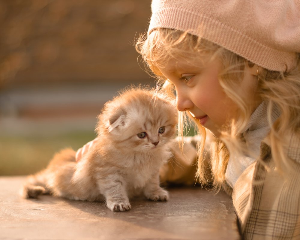 Photograph by Алена Про