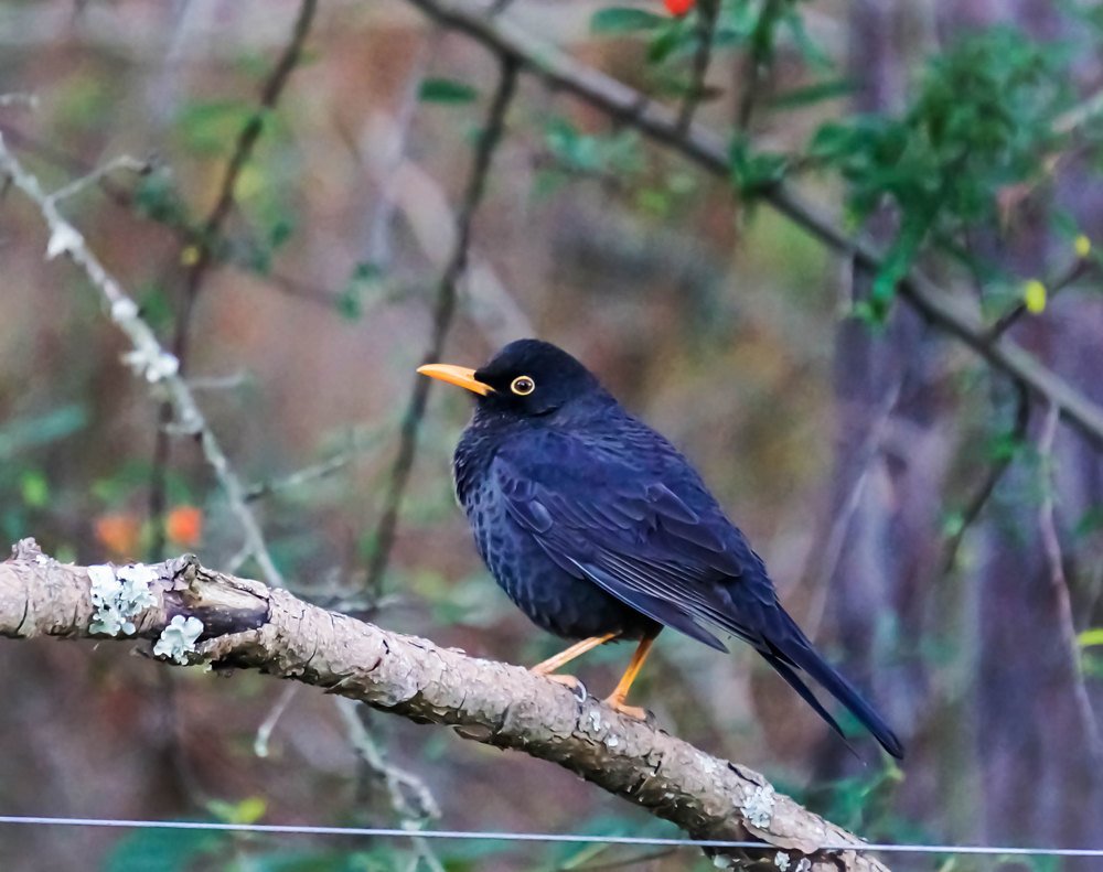 Photograph by Karina Elena Bergagna