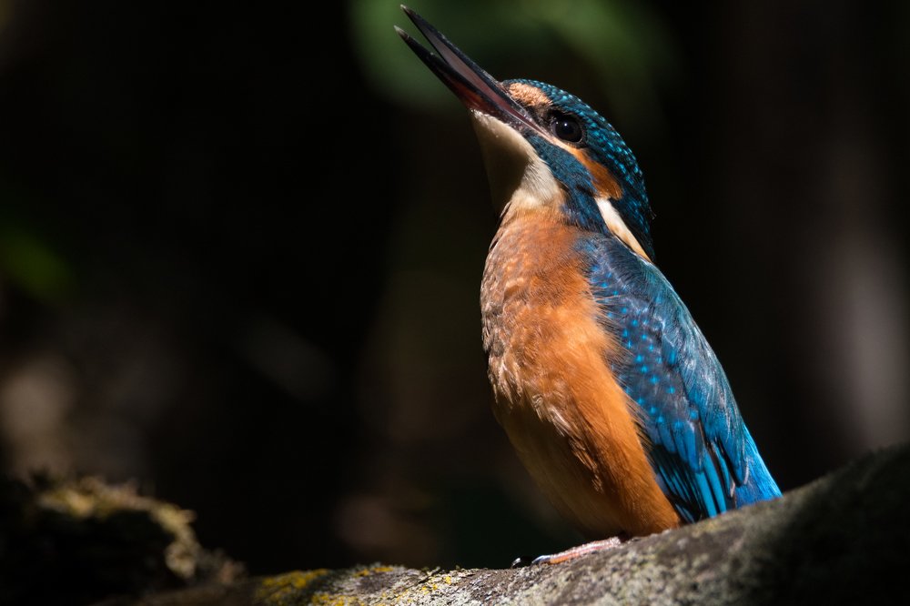 Photograph by Антон Мостовенко