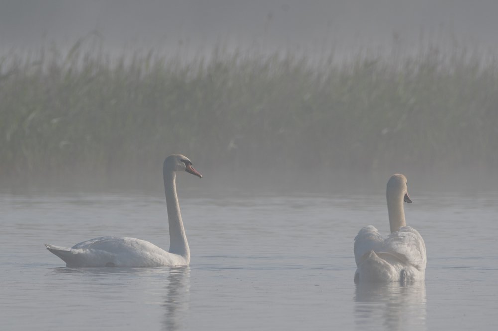 Photograph by Антон Мостовенко