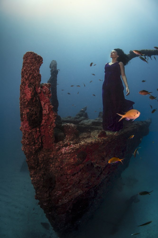 Фотография автора Paula Vianna