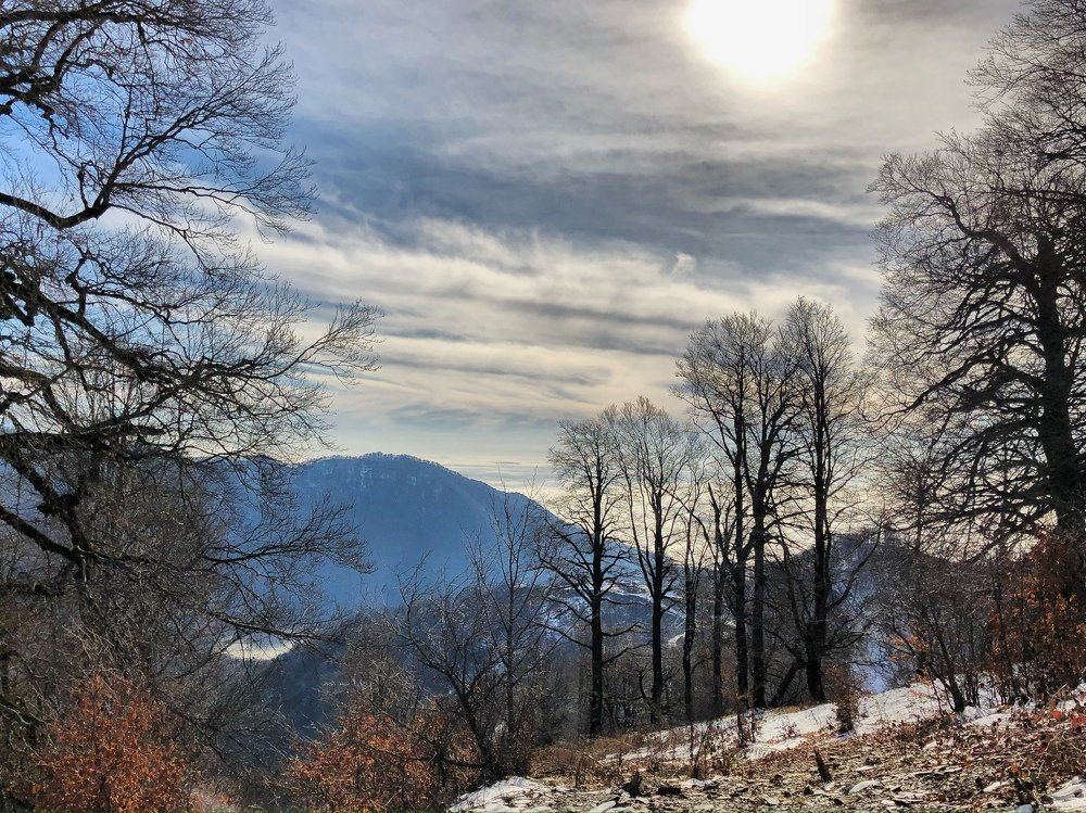 Photograph by Лилия Куюн