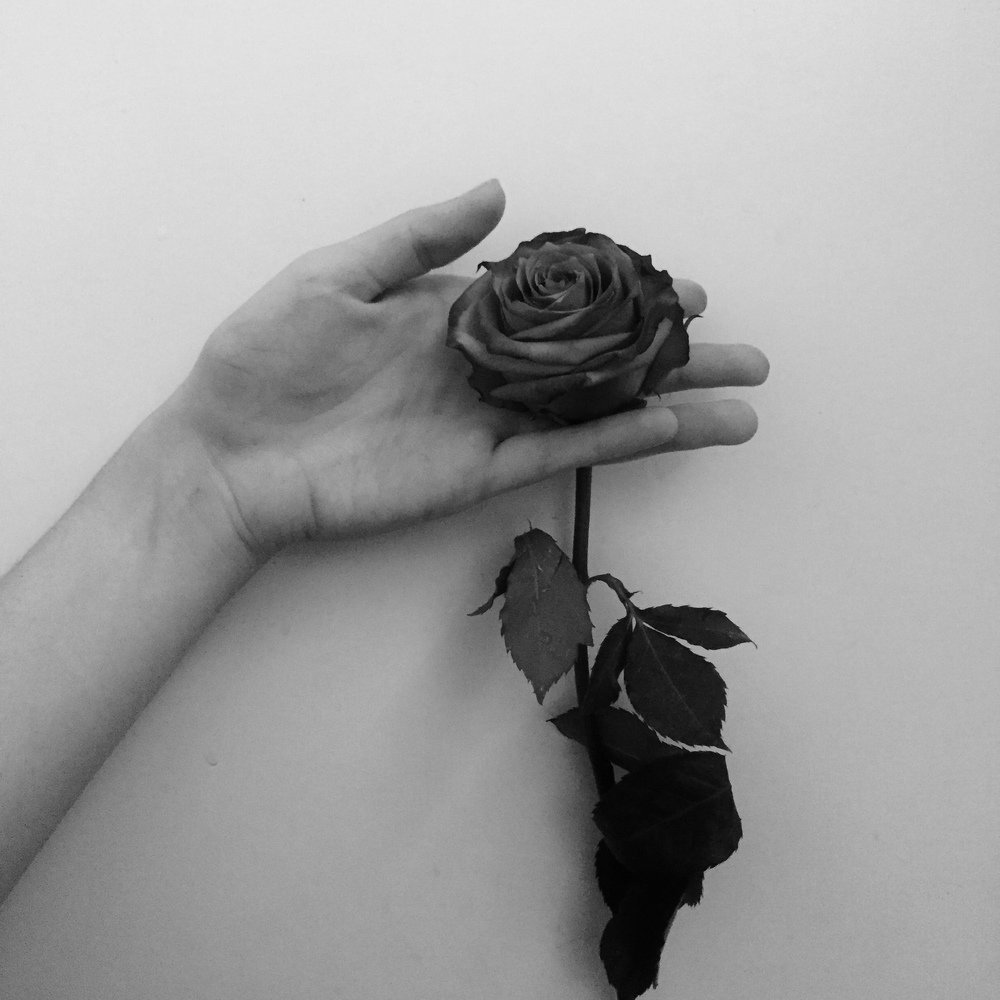 Photograph by Дина Мухаметзянова
