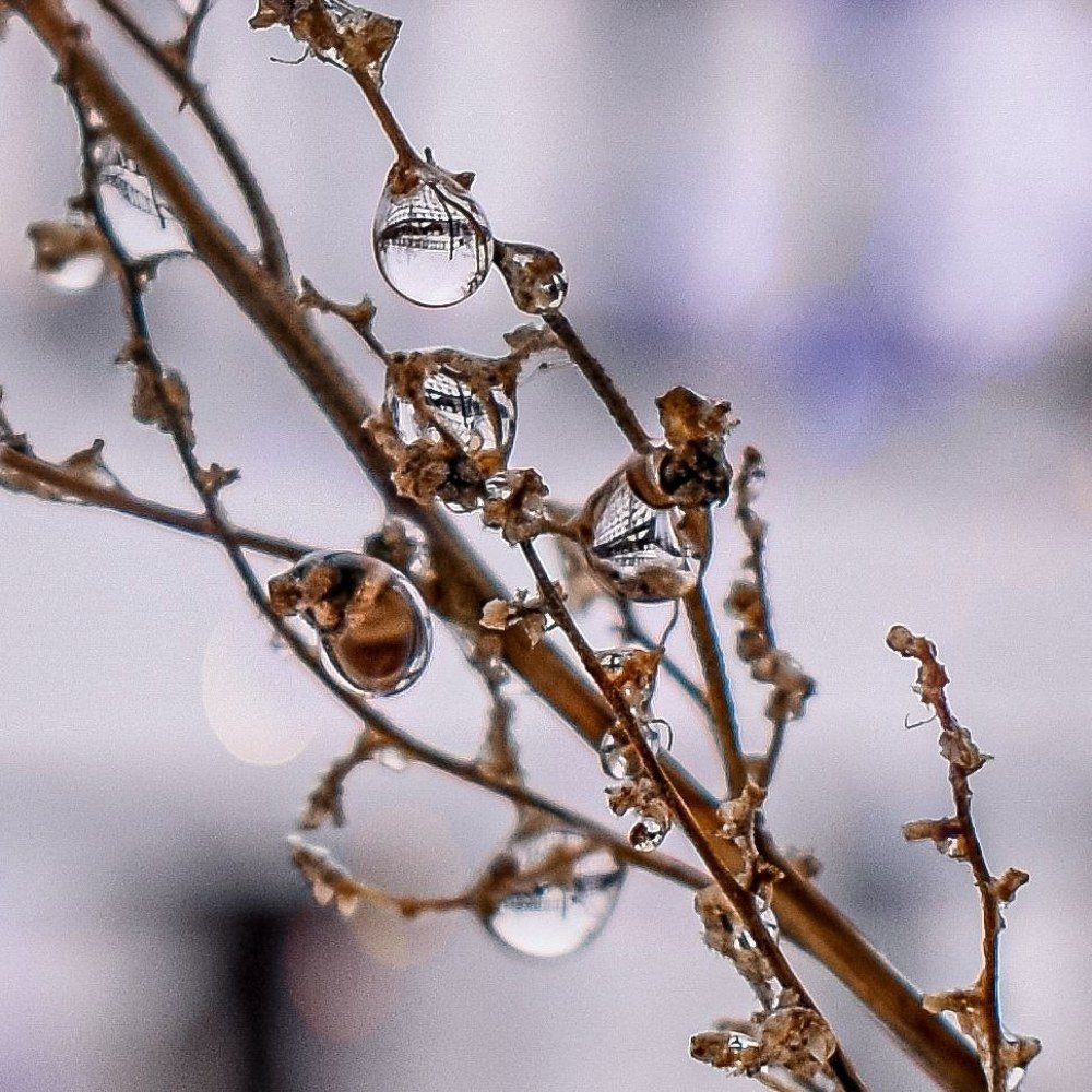 Photograph by СВЕТЛАНА