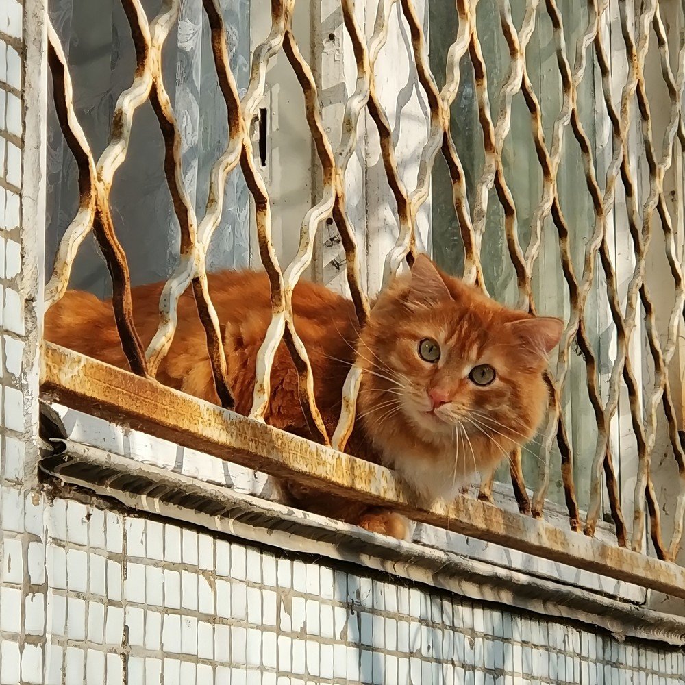 Photograph by Игорь Непомнящий