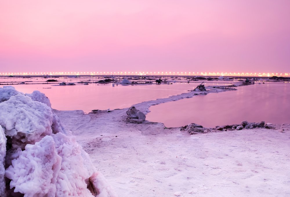 Photograph by علي الكلدي