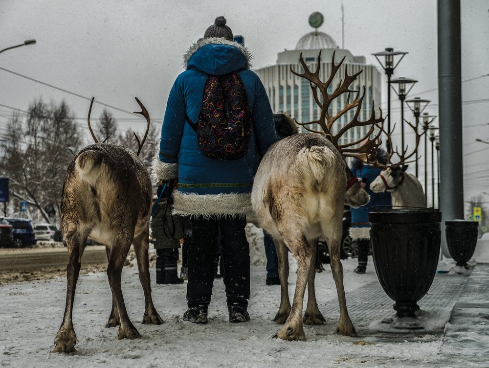 Photograph by Денис Алфёров