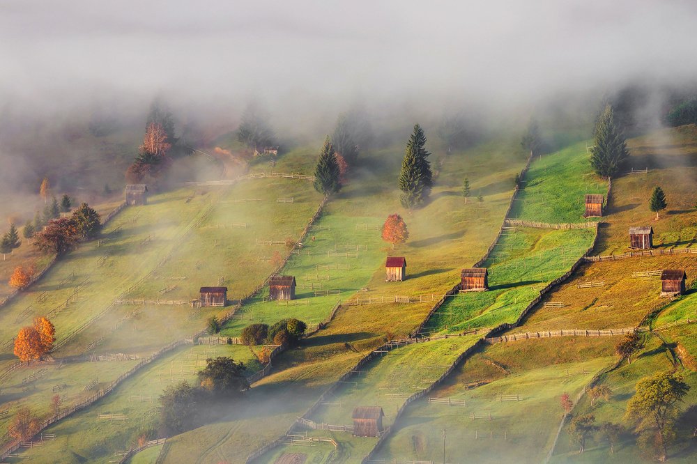 Photograph by Alex Coman