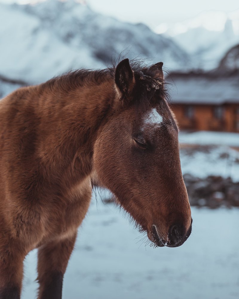 Photograph by Алексей Соколенко