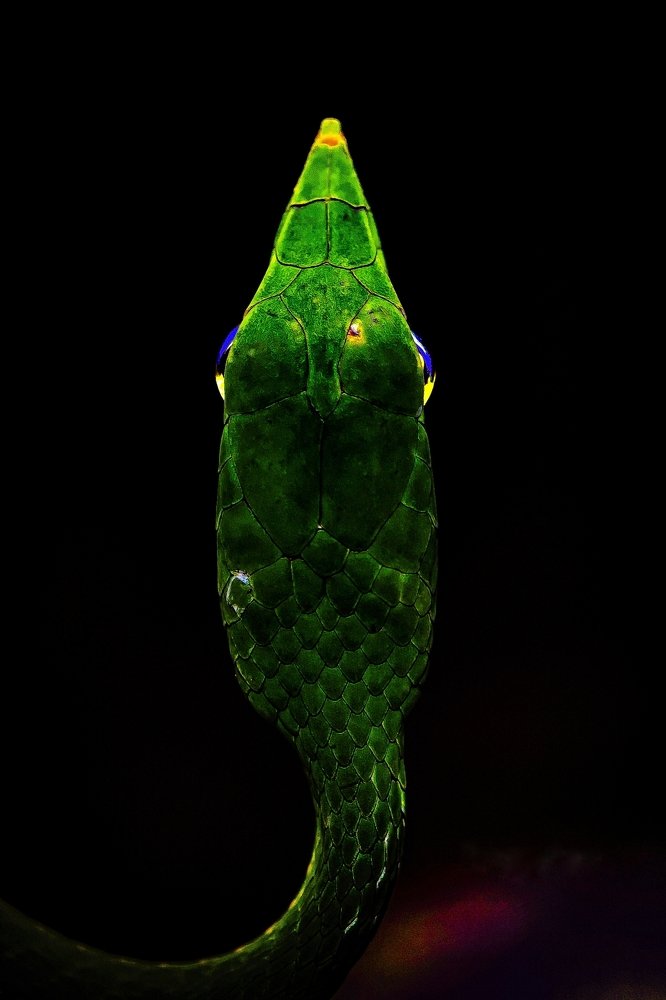 Фотография автора Durgaprasad Mylawaram