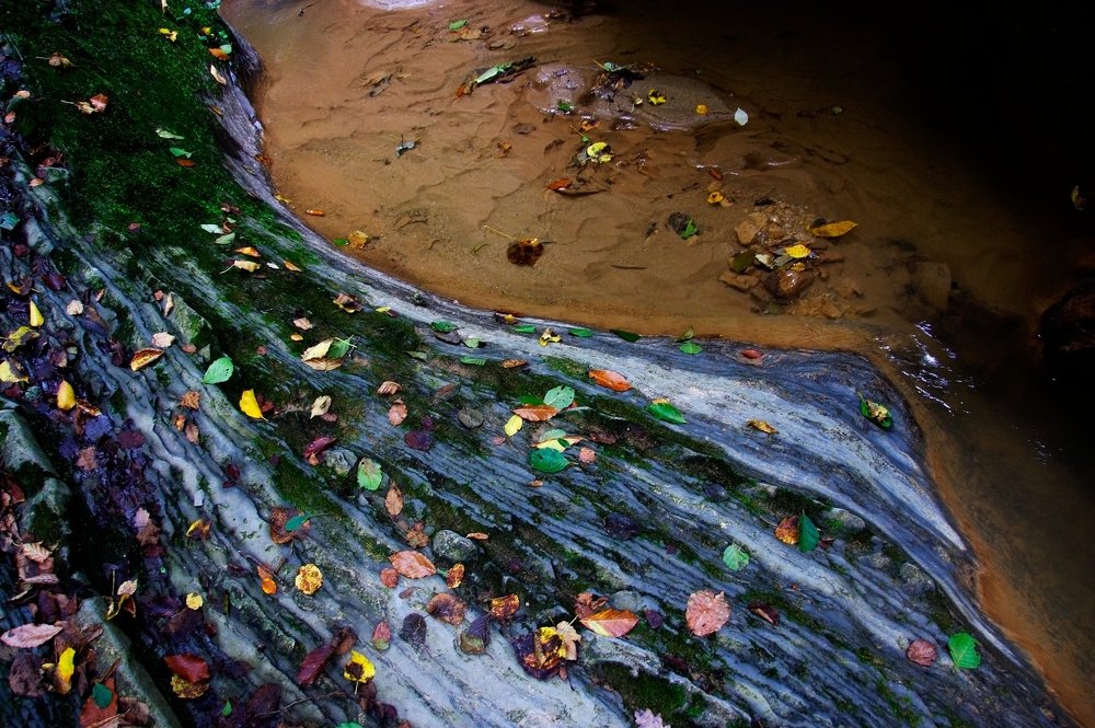 Западный Кавказ