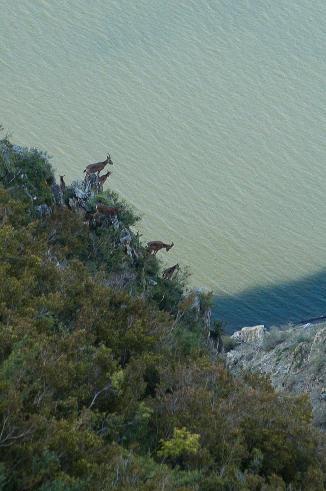 Photograph by Наталья Лобкова