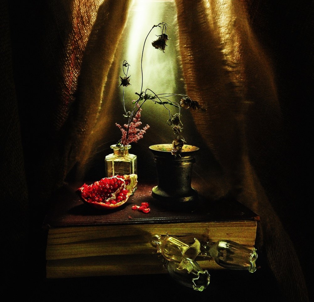 Фотография автора Харитонова Елена