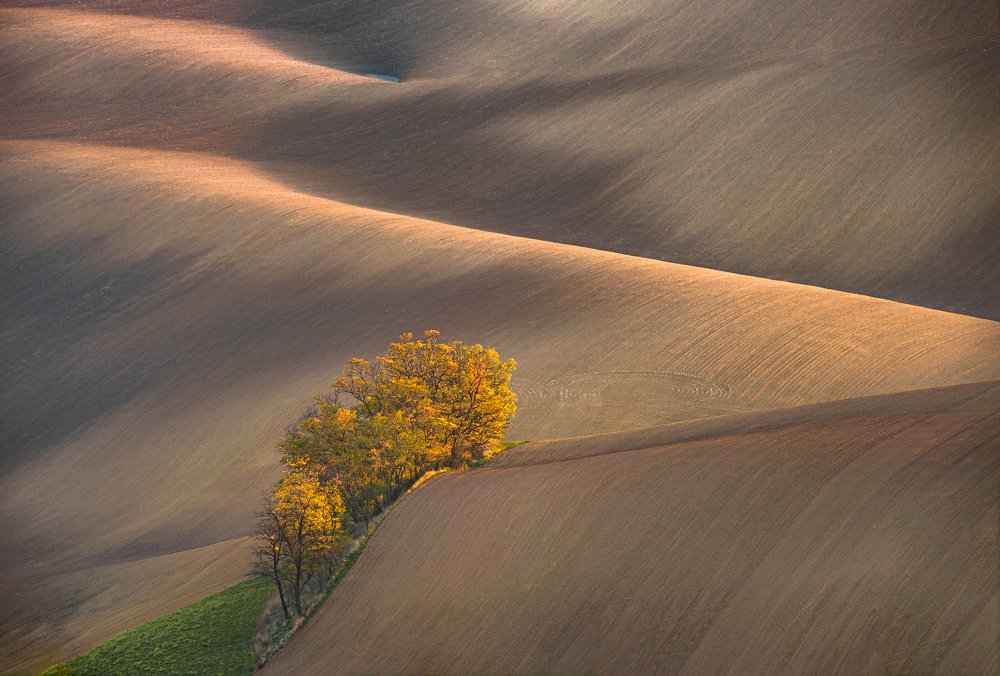 Осень в Моравии.