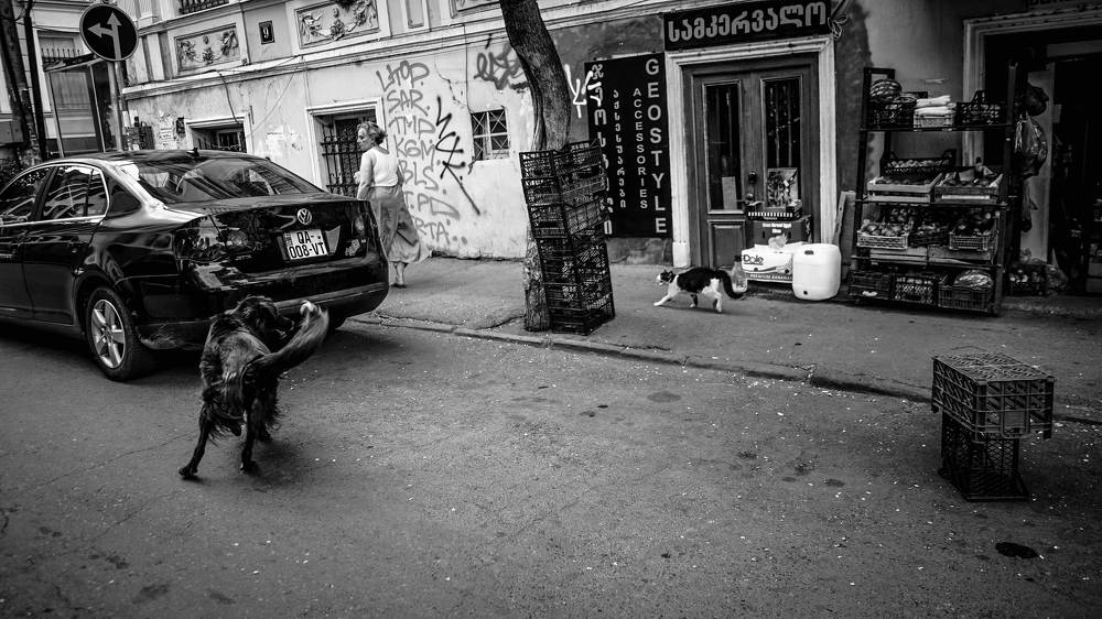 A story of two tramp friends