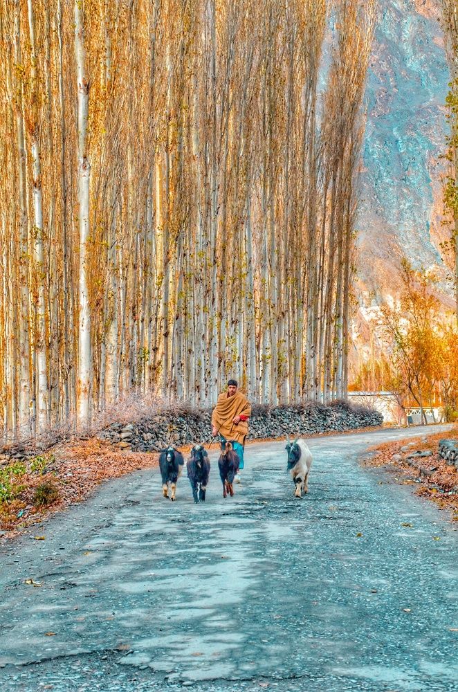 Photograph by Fiaz Ahmad