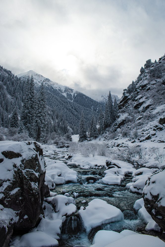 Photograph by Куба Тагайбеков