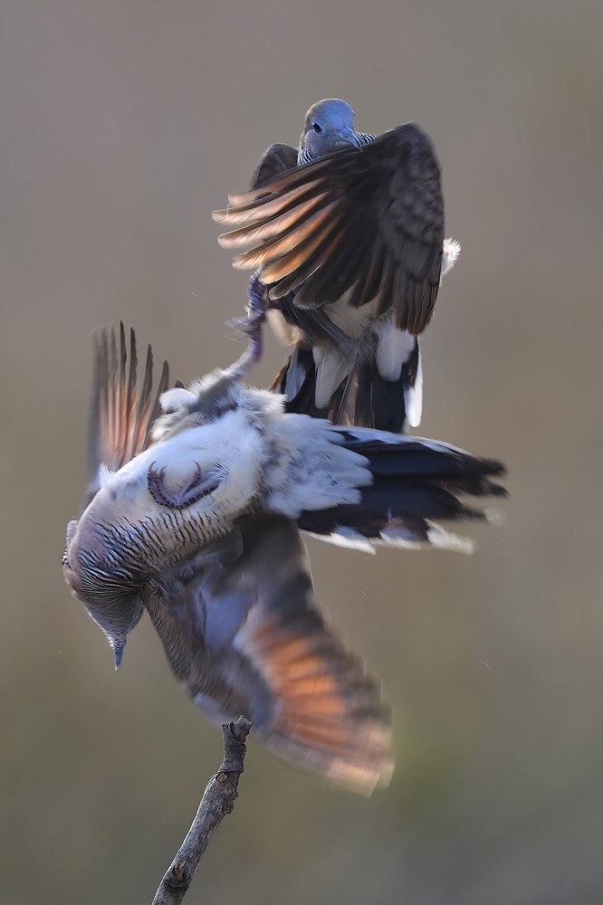 Photograph by Tran Hoang Phong