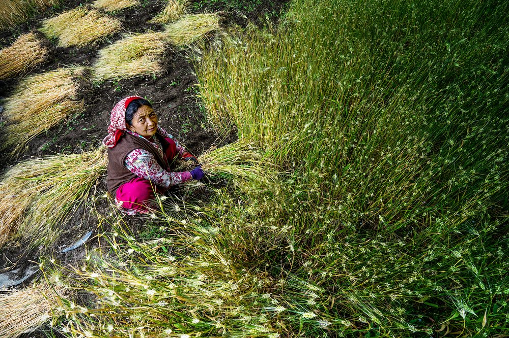 Photograph by Satheesh Chandran