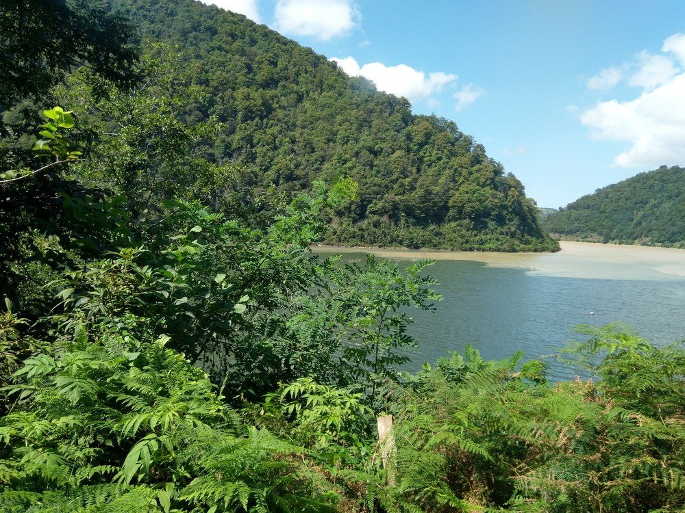 Photograph by Алла