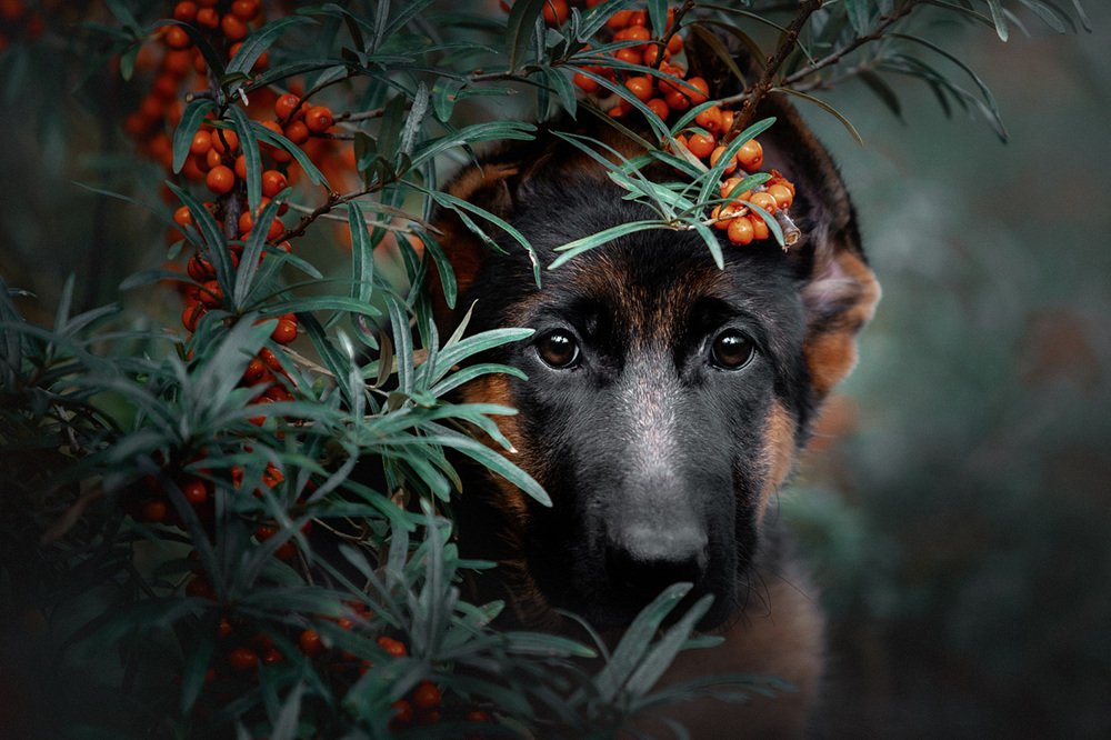 Фотография автора Оксана Серова